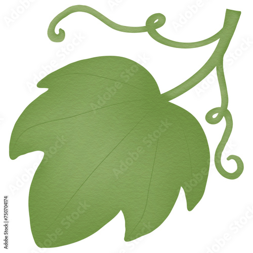 green leaf isolated on white