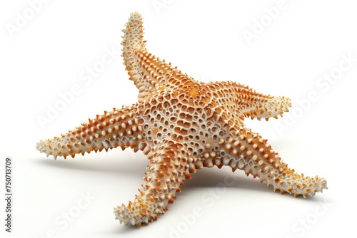 Red starfish with dotted texture isolated white background