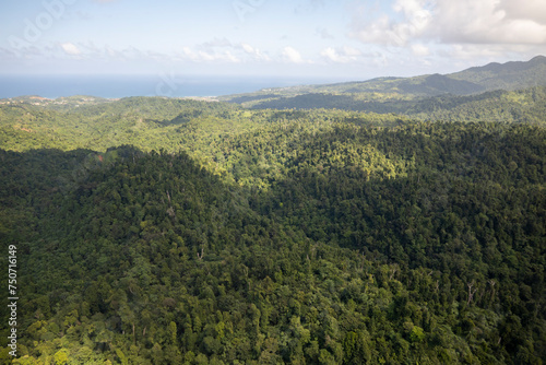 An aerial view of the thick vegetation in a rural area of Dominica © Rob