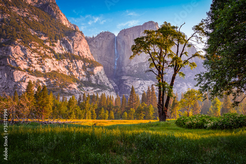 Yosemite Fals from Valey Floor photo