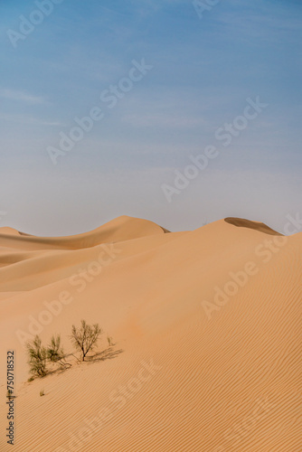 United Arab Emirates - Rub Al Khali desert