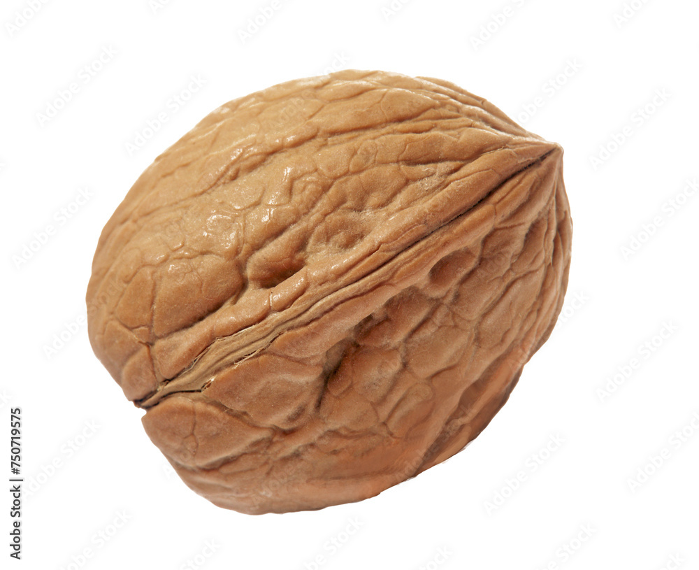 Fototapeta premium Walnut whole isolated on transparent layered background.
