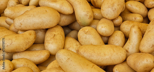 Quadro su tela A close up shot of loose, fresh, white potatoes for sale at a supermarket or market