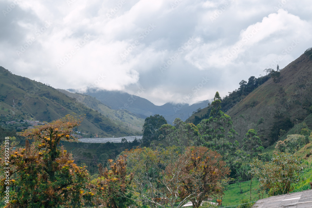 Fototapeta premium Hermoso paisaje de verano con montañas de fondo y cielo nublado