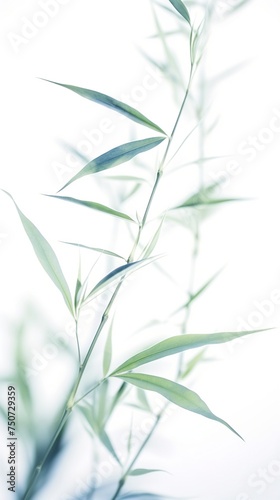 Abstract white-green bamboo leaves on soft background