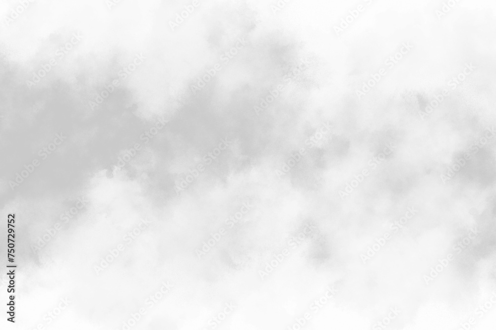 Fog Transparent Overly - obrazy, fototapety, plakaty 