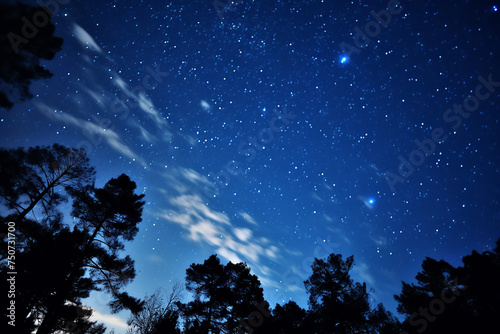 a beautiful view of the night sky filled with stars
