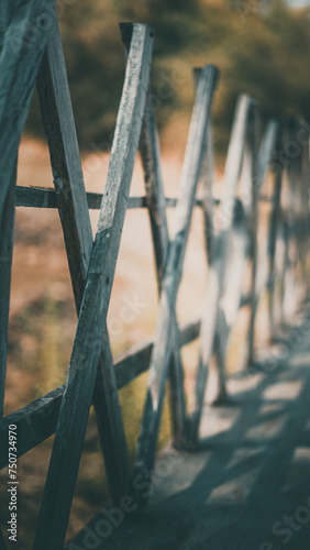 fence in the park © himanshu