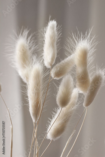 Detail of beautiful creamy dry grass bouquet. Bunny tail, Lagurus ovatus plant against soft blurred beige curtain background. Selective focus. Natural floral home decoration. Vertical.