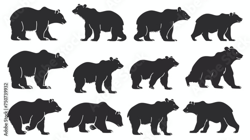 Various bear silhouettes icons isolated on the white