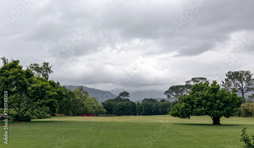 An ideal field, sown with trimmed lawn grass, surrounded by deciduous trees. Cloudy weather summer day, sky with gray clouds. Natural landscape, hotel golf club territory