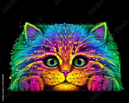 Abstract, multicolored portrait of a fluffy cat in watercolor style on a black background.