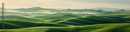 panoramic view of vibrant green hills under golden sunrise
