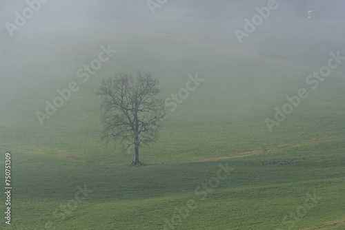 Schlossberg Tettelham im Nebel in Bayern bei Waging am See