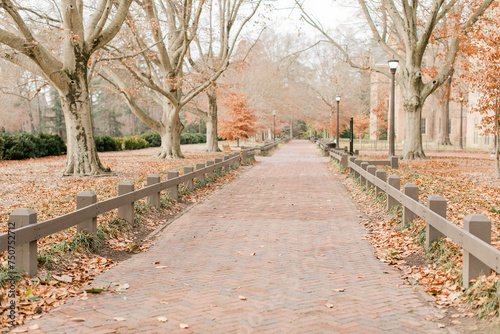 Path in autumn park.