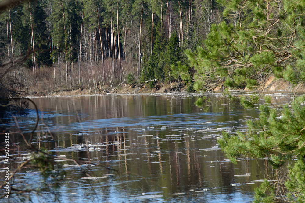 chunks of ice floating in the river on a sunny spring day chunks of ice floating in the river on a sunny spring day