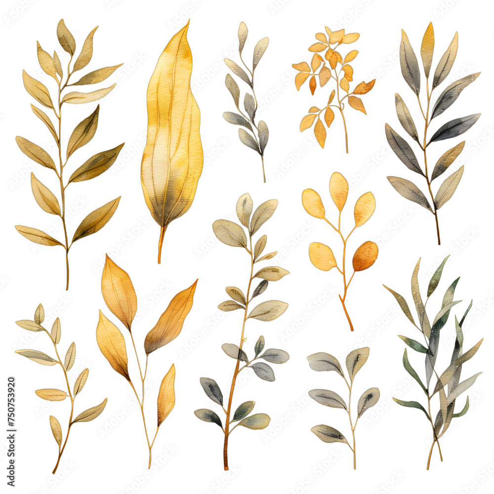 assorted watercolor leaves collection on a transparent background png isolated - obrazy, fototapety, plakaty 