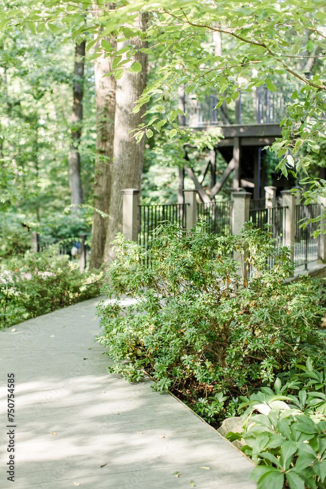 A tranquil garden walkway leading to a raised wooden deck in the forest. A tranquil garden walkway leading to a raised wooden deck in the forest.