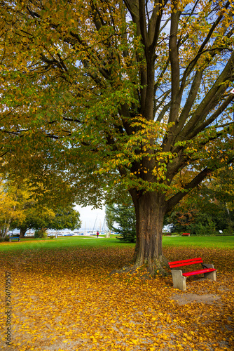 Harbour Park in the Village of Romanshorn on the Lake of Constanze in the Kanton of Thurgau, Switzerland photo