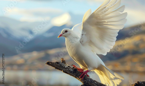Close-up of a white dove standing and flapping its wings perched on a branch about to fly into the mountain sky.
