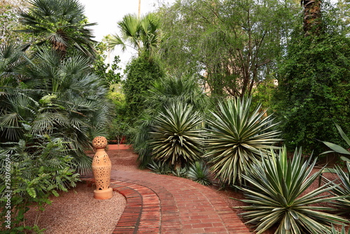 Fototapeta Naklejka Na Ścianę i Meble -  The Majorelle Garden  is a one-hectare botanical garden and artist's landscape garden in Marrakech, Morocco.