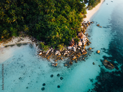 The image shows an aerial view of a tropical island with a clear blue ocean and lush green trees. The island is surrounded by a white sand beach and coral reefs. There are several palm trees on the is
