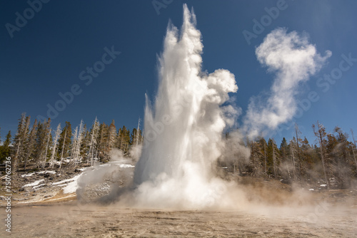 Majestic geyser erupting under a clear blue sky in Yellowstone © Óscar MT
