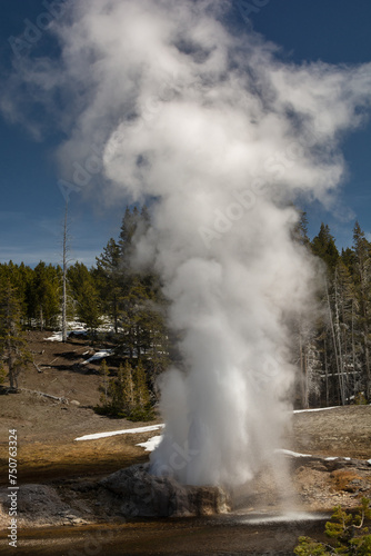 Majestic geyser erupting under a clear blue sky in Yellowstone