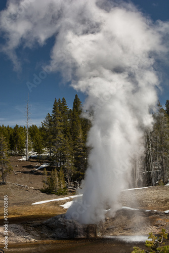 Majestic geyser erupting under a clear blue sky in Yellowstone