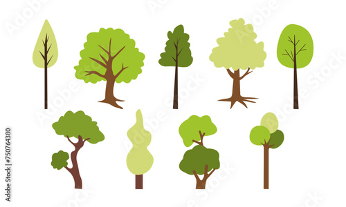 Collection of deciduous and evergreen forest plants isolated on white background. Botanical collection of bare trees and ones with leaves and lush crowns. Flat vector illustration on white background