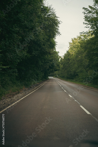 road in the forest © Colin