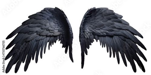 black wing isolated on white background. transparent background. PNG
