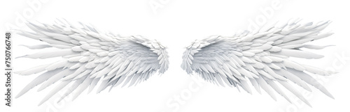 white wing isolated on white background. transparent background. PNG	