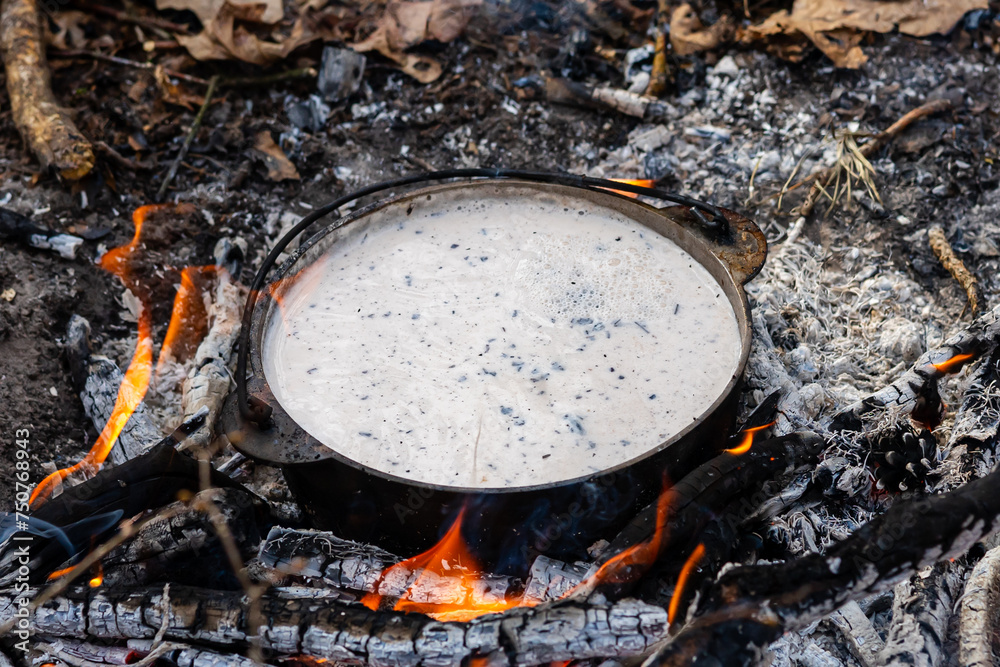 cooking on a fire in a spring forest, travelling cooking on a fire in a spring forest, travelling