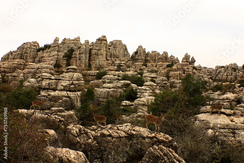 El Torcal de Antequera is a nature reserve in the Sierra del Torcal mountain range located south of the city of Antequera, in the province of Málaga
