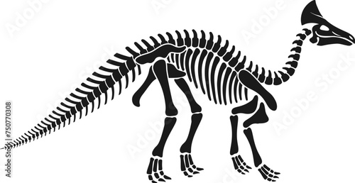 Isolated olorotitan dinosaur skeleton fossil  dino bones black vector silhouette. Rare find  revealing the distinct features of this herbivorous hadrosaurid creature from the late cretaceous period