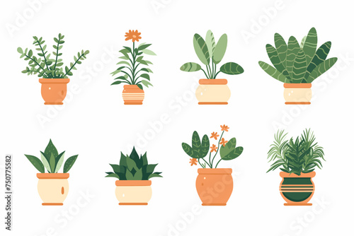 Collection of decorative houseplants and succulents isolated on white background. Trendy plants growing in pots or planters. Flat colorful vector illustration.