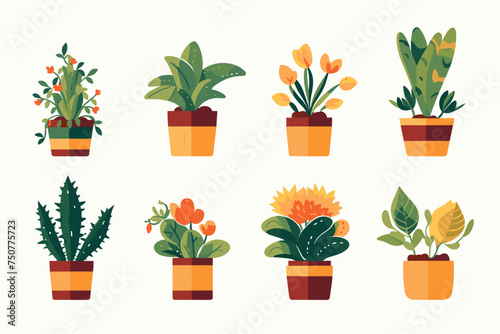 Collection of decorative houseplants and succulents isolated on white background. Trendy plants growing in pots or planters. Flat colorful vector illustration.