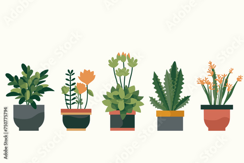 Collection of decorative houseplants and succulents isolated on white background. Trendy plants growing in pots or planters. Flat colorful vector illustration.