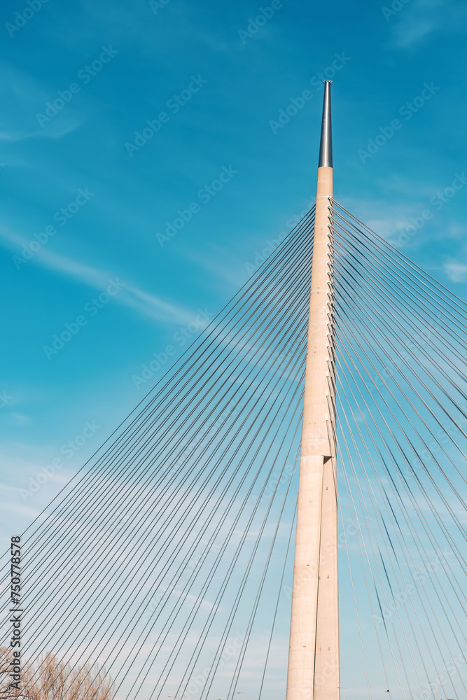 The towering steel structure of the bridge in Belgrade, Serbia, provides a vital connection for commuters, offering a stunning vista of the city and the tranquil waters of the Sava River. The towering steel structure of the bridge in Belgrade, Serbia, provides a vital connection for commuters, offering a stunning vista of the city and the tranquil waters of the Sava River.