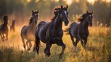 Galloping Through Nostalgic Horse History. Tour Through Meadows and Fields. Experience the Beauty of Nature as Horses Roam Freely