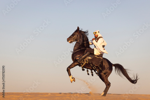 Saudi man riding his  black stallion photo