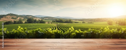 Empty wood table top with on blurred vineyard landscape background, for display or montage your products. Agriculture winery and wine tasting concept. digital ai art © Влада Яковенко