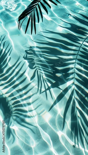 The shadow of palm leaves is cast on the water, wallpaper © Kate Mova