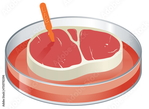 Vector illustration of an isolated Petri dish containing lab-grown meat with a Lab sticker.