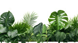 Tropical green leaves isolated on transparent and white background.PNG image.