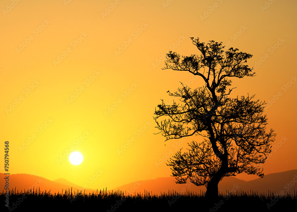 silhouette at sunset