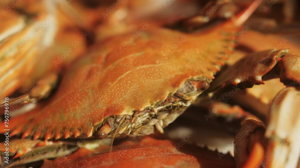 Freshly boiled crabs close up. Healthy Mediterranean seafood. Delicious seafood options. Freshly boiled crabs close up. Healthy Mediterranean seafood. Delicious seafood options.