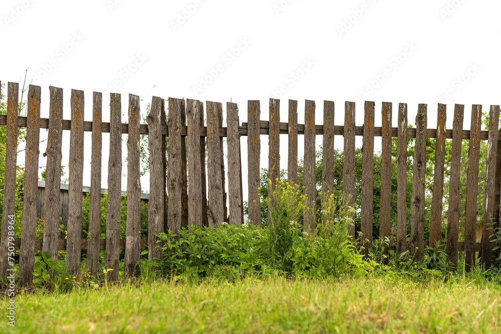Fototapeta premium Old wooden fence with grass on a white isolated background