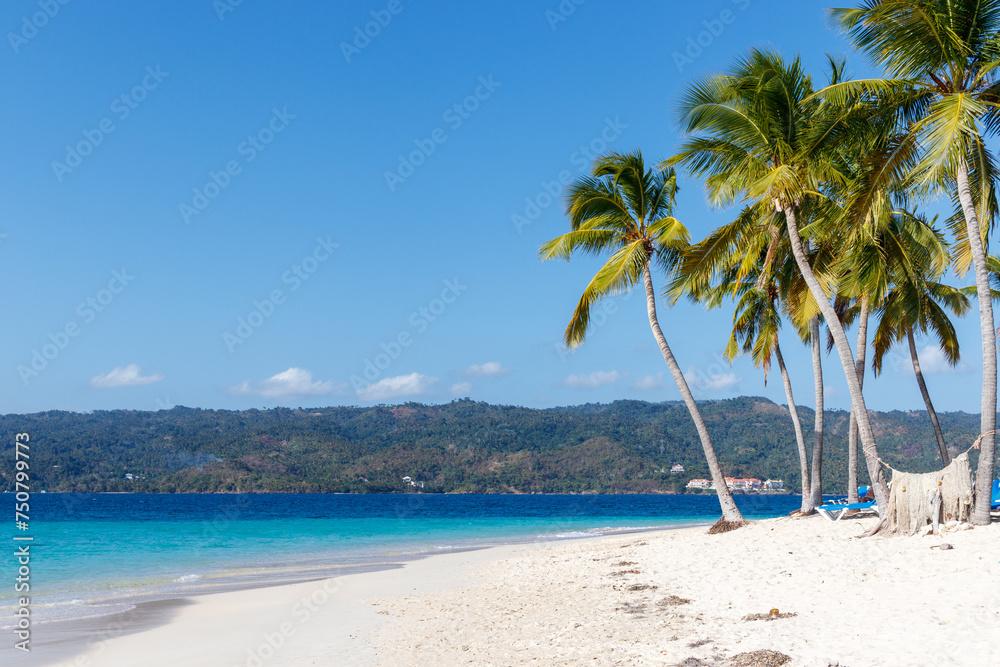 Turquoise water beach white sand and palm trees in cayo levantado dominican republic. Turquoise water beach white sand and palm trees in cayo levantado dominican republic.